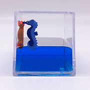 Paperweight Cube with Seahorse Floaters